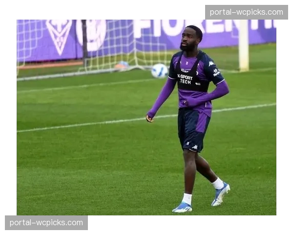 佛罗伦萨小将伊科内肌肉拉伤，将缺席四周，球队边路爆点受损